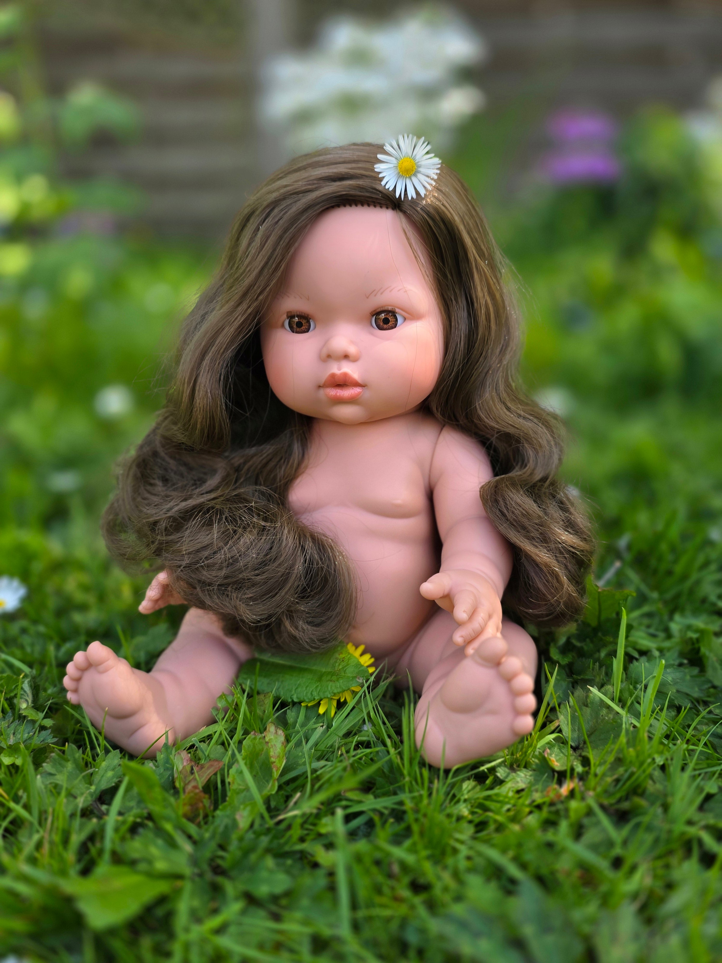 Mini Colettos, Alaska (Brunette with Brown Eyes)