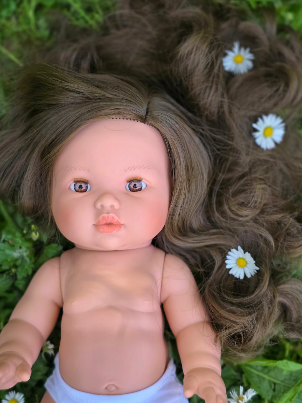 Mini Colettos, Alaska (Brunette with Brown Eyes)