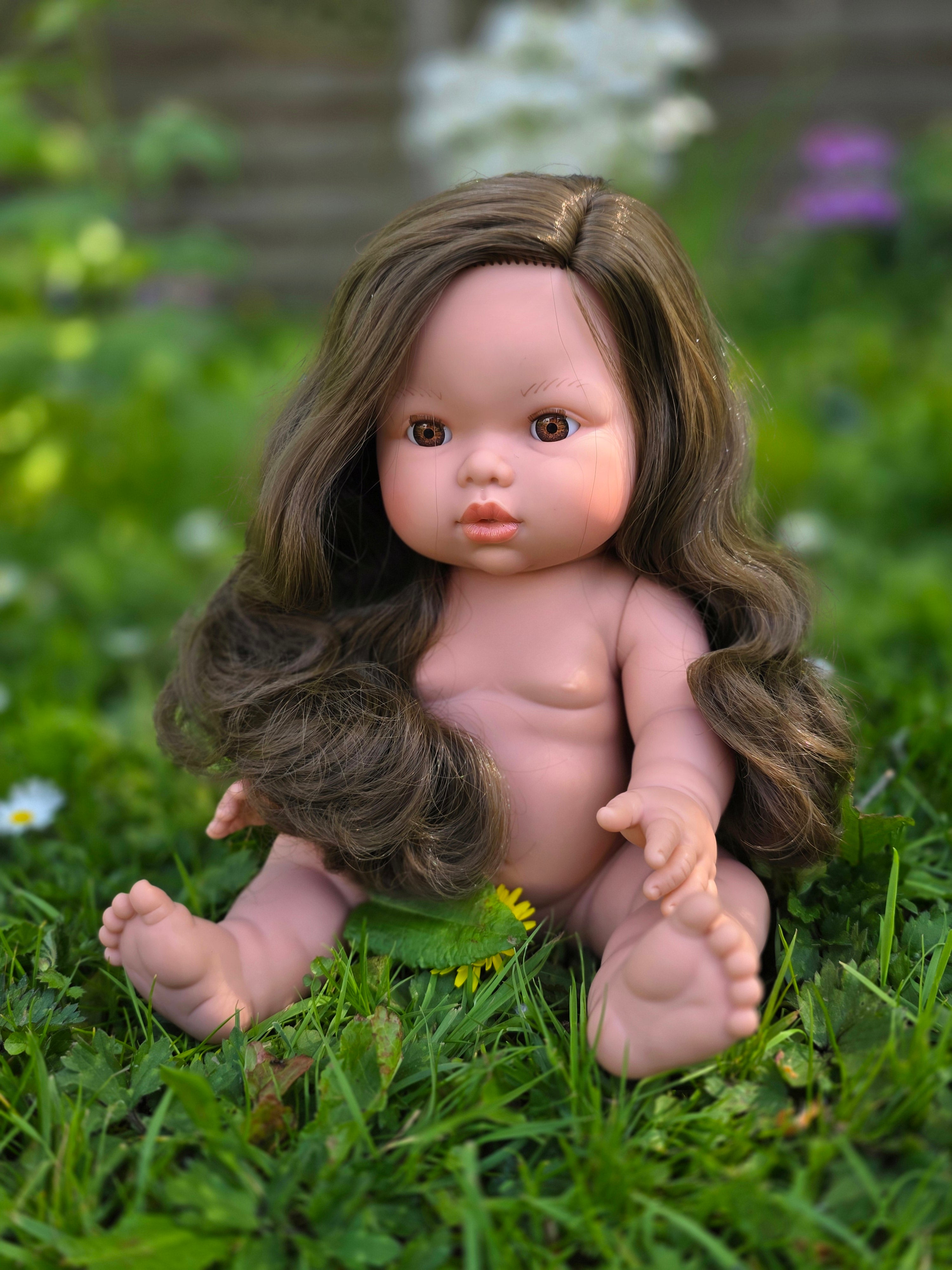 Mini Colettos, Alaska (Brunette with Brown Eyes)