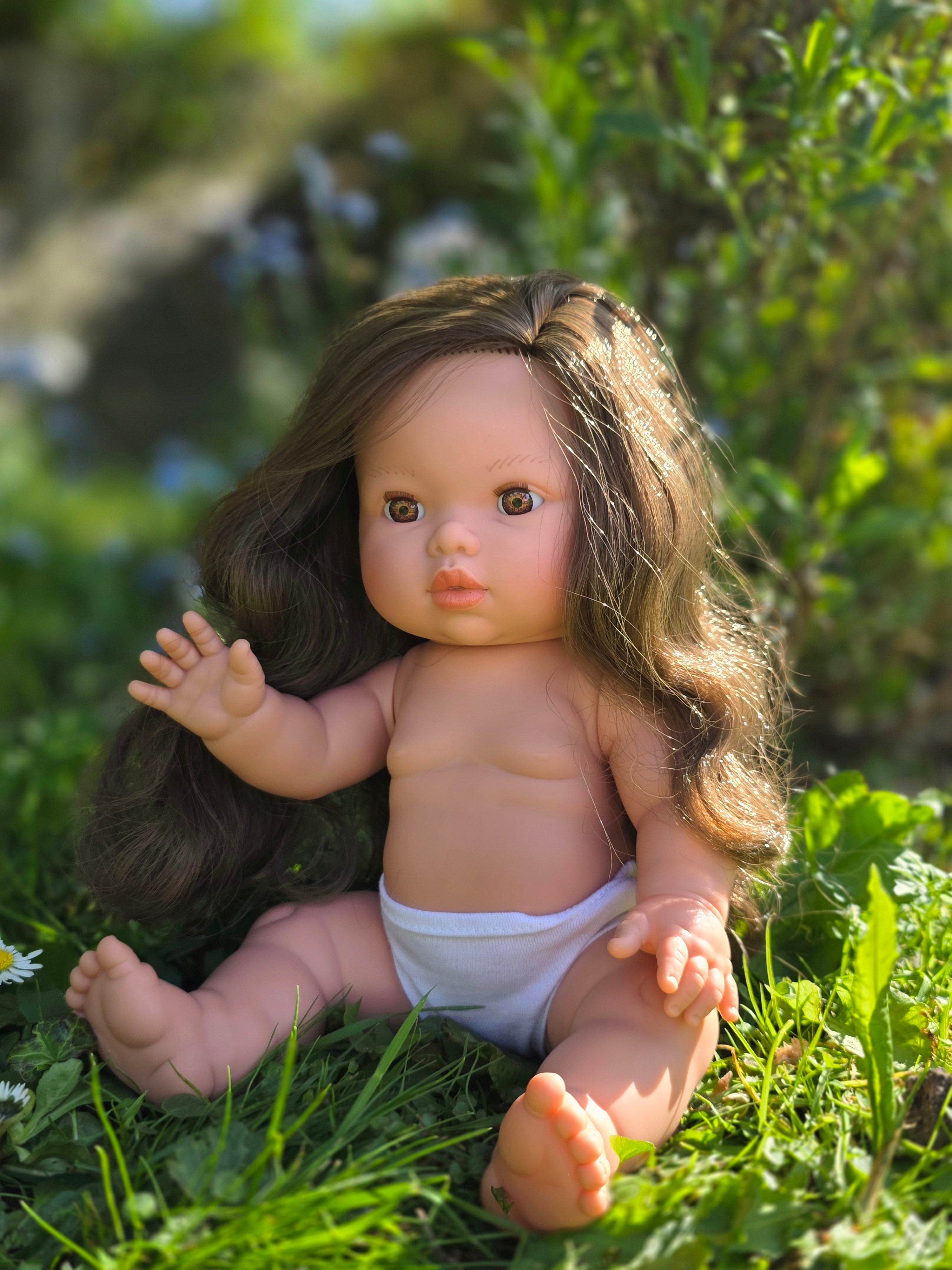 Mini Colettos, Alaska (Brunette with Brown Eyes)