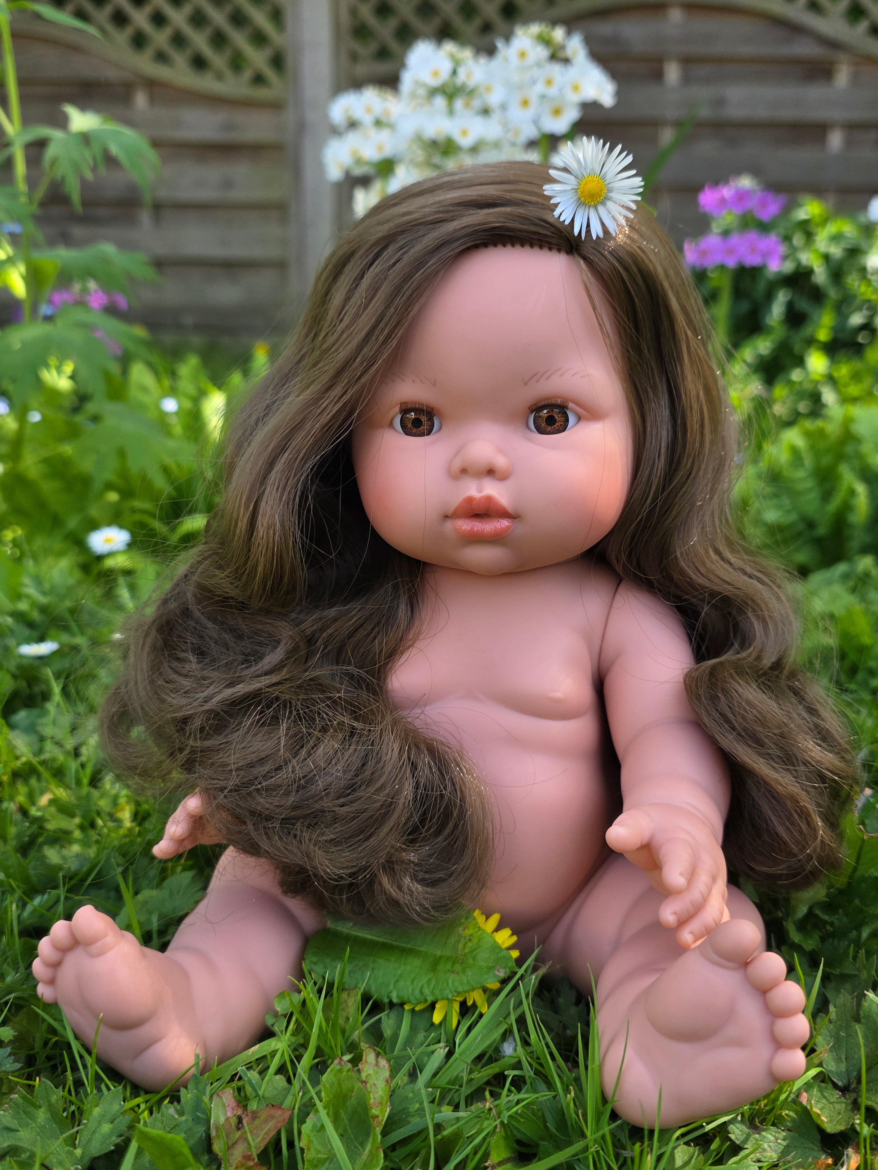 Mini Colettos, Alaska (Brunette with Brown Eyes)